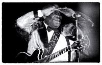 B.B.King in Moscow